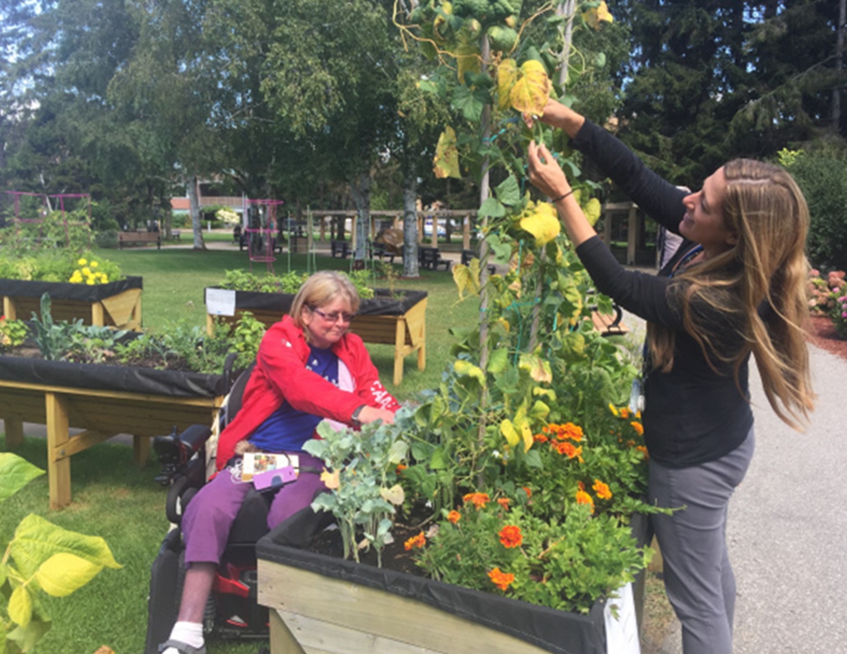 woman in a wheelchair and standing woman working in a garden